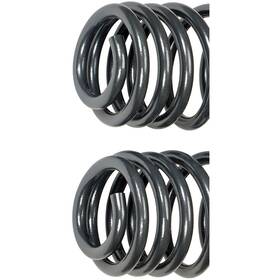 929-938 Dorman Coil Spring For 08-10 Dodge Grand Caravan
