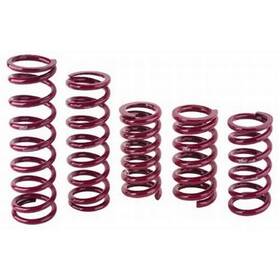 0950.500.0350 Eibach Front Spring 5 Inch Od X 9.5 350 Lb./