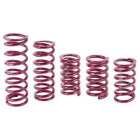 1300.500.0450 Eibach 5 X 13 Rear Racing Coil Spring 450 Lb Rate