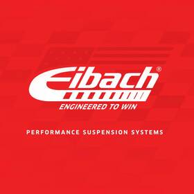 R40048 Eibach Single Front Spring
