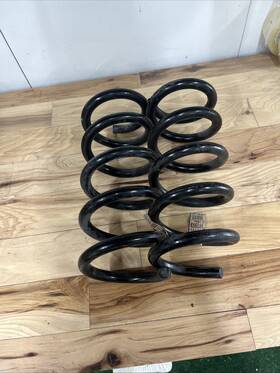 Jr3c5560ca Factory/oem 2015-2023 Ford Mustang Rear Coil Springs