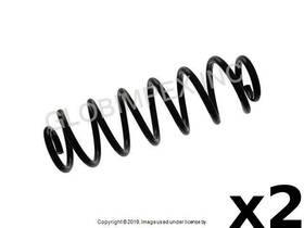 46923 Febi Bilstein Volkswagen 2006-2010 Coil Spring Rear 2 Pcs 1 Year Warranty