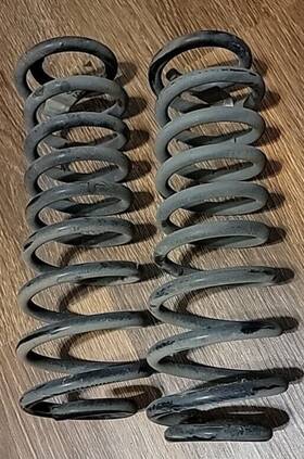 5r33-5560-ac Ford Mustang 05-09 Rear Springs Pair