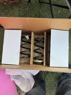 Fr3z-5310-m Ford 2016-2020 Mustang Shelby Gt350 Front And Rear Springs Oem Genuine Part