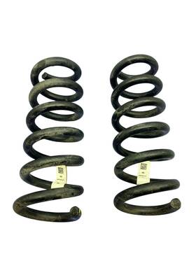 Lj9c5560bnf Ford 2021-2023 Mustang Mach-e Oem Rear Left Right Suspension Coil Spring Set 20k