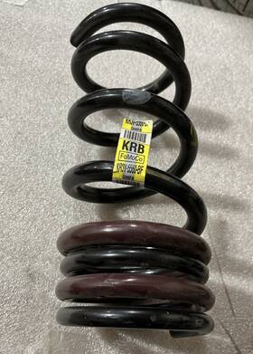 Kr3v-5560-bf Ford Zr3v-5560-bf Oem 2020-2022 Mustang Shelby Gt500 Rear Coil Spring