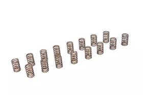 19154761 Gm Genuine Small-block Valve Spring Kit Ct350