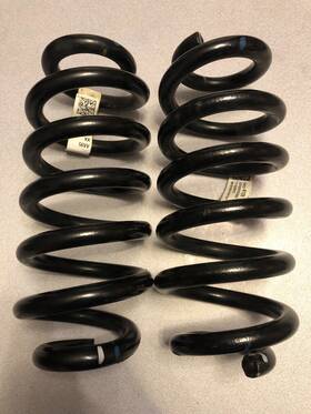 84234128 Gm Pair 2019-2024 Chevy Blazer Rear Left Right Coil Springs Fwd Oem