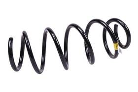 Gm Genuine Parts 15251298 Coil Spring