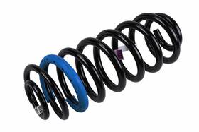 22811850 Gm Genuine Parts Coil Spring