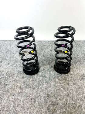 55335-s2010 Hyundai 19-20 Santa Fe Rear Left Lh And Right Rh Side Coil Spring Pair Oem
