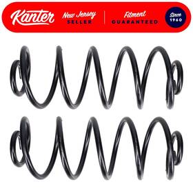 Cs6363f Kanter Auto 2 Hd Rear Coil Springs 1980-1983 Cadillac Fleetwood Brougham And 1980-1984 Deville