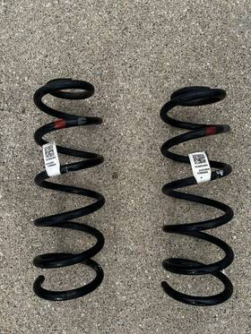 55330-s9050 Kia 2020-2025 Telluride Awd/fwd Rear Left And Right Coil Spring Set Oem