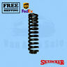L122731 Softride Coil Spring Skyjacker For Ford Bronco 743593589568