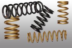 K200-m5.0 Landrum Performance Service Co Conventional Rear Coil Springs K200-m50