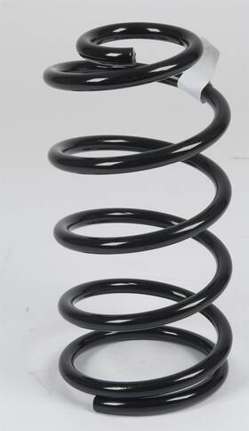 U175 Landrum Performance Spring Stock Appearing Rear Coil