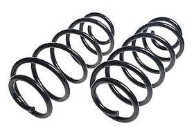 4427505 Lesj Fors Rr Coil Springs Lesjofors