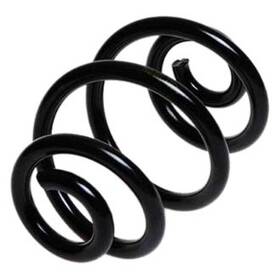 4208431 Lesjofors For Bmw 330ci 2001-2006 Rear Coil Spring