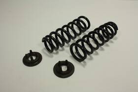 4823124311 Lexus 2015 - 2024 Rc300 Rc350 Rear Left And Right Side Coil Spring Set Oem