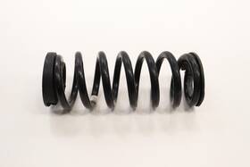 K2gz5560z Lincoln 2019 - 2023 Nautilus Rear Suspension Right Or Left Side Coil Spring Oem