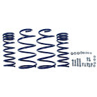 M-5300-v Ford Performance Racing Coil Spring Sport Set Focus 756122002209