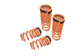 Mr-ls-nr35 Megan Racing Lowering Coil Springs Fits 2009-2021 Nissan Gt-r R35 -