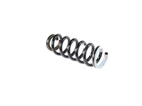 68320237ab Mopar For Ram 1500 2019 Front Coil Spring