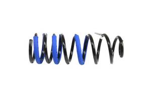 68506255aa Mopar Genuine Rear Coil Spring Right