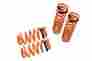 Mr-ls-dchr06 Megan Racing Coil Lowering Springs For Dodge Charger 2006-10