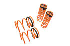 Mr-ls-me89 Megan Racing Coil Lowering