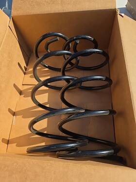 277-1886 Napa 1967 Pontiac Gto Rear Coil Springs. Pair. Excellent Condition
