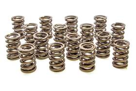 Pac-1903-16 Pac Racing Springs Valve - Hr Series 16