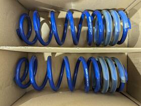 401295 Roush Rear Blue Lowering Coil Spring Set Fits 2005-2014 Mustang Gt
