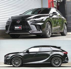 T294d Rs-r Down Sus Lowering Springs For 2023-2025 Lexus Rx500h Awd Jdm