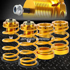 Sdd-coilhc06gd Speed Daddy For Honda Civic Adjustable Gold Spring Coilover Suspension