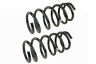 Sms81627 Mevotech Coil Spring Set Rear 677319140910