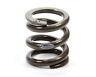 St2500 Landrum Springs Bump Stop Spring
