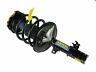 St8546r Moog Front Right Suspension Strut And Coil Spring Assembly