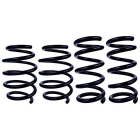 555-8211 Steeda Lowering Spring Ultralite Linear Set Mustang V6 2015-2017/ Gt 2015-2025