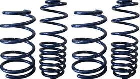 555-8220 Steeda Lowering Springs Front And Rear Black Powdercoated Ford Set Of 4
