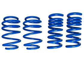 555-8246 Steeda S550 Competition Dual Rate Springs For 2015 Ford Mustang