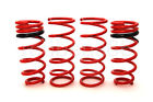 Tdf148 Tanabe Df210 Lowering Springs