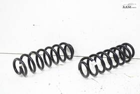 5qf-511-115-bf Volkswagen 2018-2024 Tiguan Fwd Rear Suspension Left And Right Coil Spring Set Oem