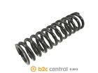 W0133-1716026-les B2c Central Coil Spring