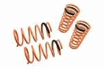 Megan Racing For 95-99 Nissan Sentra Lowering Coilovers Springs. Fixed Price $3155.00.