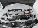 Air/coil Spring Rear Excluding 17" Tires Fits 05-07 Ion 292723. Fixed Price $50.00.