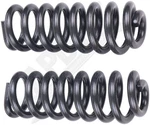 Dorman 929-901 Severe Heavy Duty Coil Spring Upgrade 70 Percent Increased Load. Fixed Price $387.99.