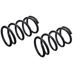 JCS613T Trw Set Of 2 Coil Springs Rear Driver & Passenger Side Left Right Pair. Fixed Price $98.48.