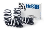 H&r Sport Spring Kit 51626 Fits Ford Taurus 2010-2019. Fixed Price $347.99.