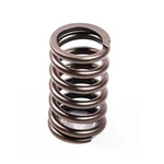 1825540C1 Valve Spring - Exhaust Suitable For Perkins Shipping From Texas Mia. Fixed Price $24.44.